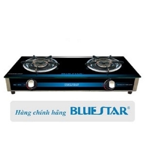 Bếp gas đôi Bluestar NG-5950HP