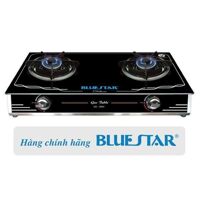 Bếp gas đôi Bluestar NG-6900H