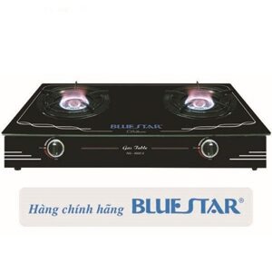 Bếp gas đôi BlueStar NG-6980V82 (NG-6980V)