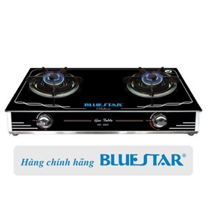 Bếp gas đôi Bluestar NG-6990G 70-82