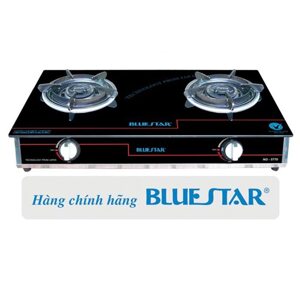 Bếp gas đôi Bluestar NG-6990G 80-100