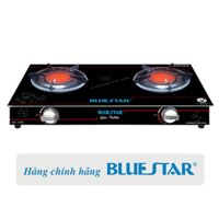 Bếp gas đôi Bluestar NG-6990V 80-100