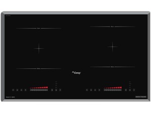 Bếp từ đôi Canzy 288NPSI