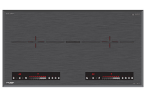 Bếp từ đôi Fandi FD-288 Plus