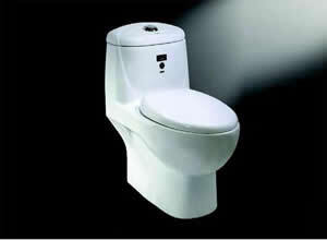 Bệt toilet Appollo AC035