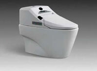 Bệt toilet Appollo APX9