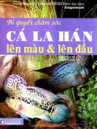 Bí Quyết Chăm Sóc Cá La Hán Lên Màu & Lên Đầu