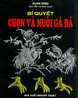 Bí quyết chọn và nuôi gà đá