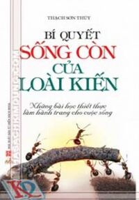 Bí quyết sống còn của loài kiến