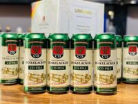 Bia Dinkelacker CD Pils 4,9% - 24 lon 500ml