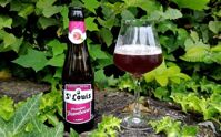 Bia St. Louis Premium Framboise 2.8% Bỉ  – chai 250 ml