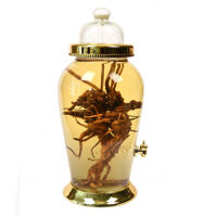 Bình ngâm rượu Yongcheon N6 13.2L