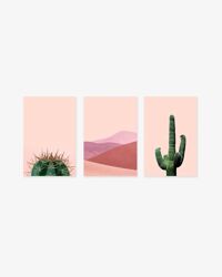 Bộ 3 tranh Cactus Succenlent Pink