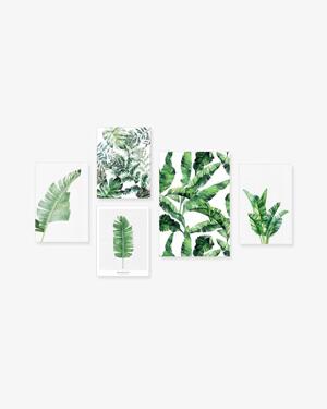 Bộ 5 tranh Botanical Fern Leaves Watercolor