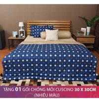 Bộ chăn drap bọc Cuscino COTTON151 160 x 200 cm