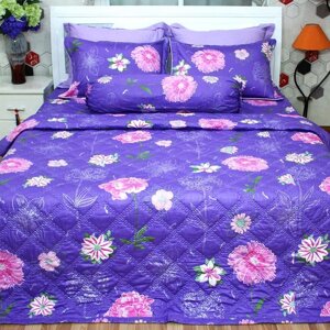 Bộ chăn drap cotton bọc chằn gòn Jamion KCT225T 160 x 200 x 27 cm