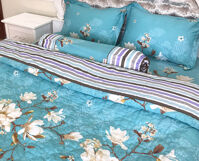 Bộ chăn drap cotton Hàn Quốc Julia J2 250BG16 160 x 200 cm