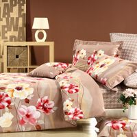 Bộ chăn ga gối cotton satin Julia 491BM16 - 160x200cm