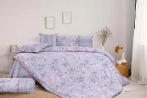 Bộ chăn ga gối Hanvico Blue Sky cotton T – DL 168