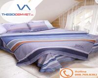 Bộ chăn ga gối Hanvico Golden Dream GIM25