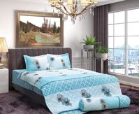 Bộ chăn ga gối Sông Hồng Classic Cotton C18C58