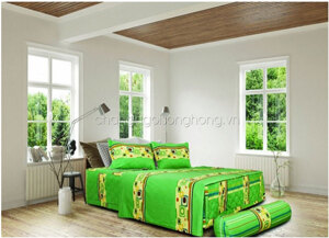 Bộ chăn ga gối Sông Hồng Classic Cotton C17C48