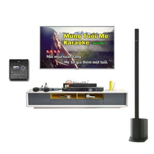 Bộ dàn karaoke Bose L1 TVA 73