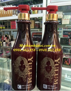 Bộ Dầu Gội Xả Yulum Pháp 750ml