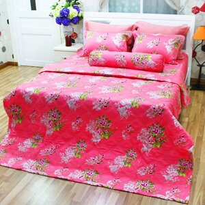 Bộ drap cotton bọc chằn gòn Jamion KCT187H 160 x 200 x 27 cm