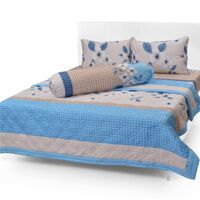 Bộ drap cotton Hàn Quốc cao cấp có mền Evadrap CT6-8 1m6