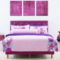 Bộ drap Midas MI-30 180 x 200 cm