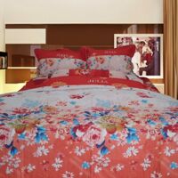 Bộ ga gối cotton Hàn Quốc Julia 494BK18 - 180x200cm(không kèm chăn)