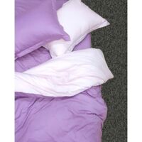 Bộ Ga Gối Cotton Satin Ai Cập Julia 535BK16 160x200CM