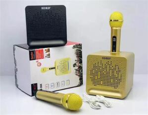 Bộ loa kèm mic bluetooth SD-504