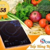 Bếp hồng ngoại dương 1 vùng nấu Sowun LDV100497 + Vỉ nướng