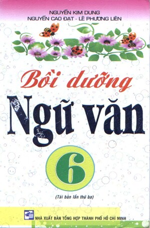 Bồi dưỡng Ngữ Văn 6