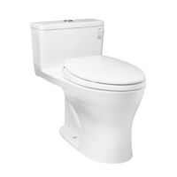 Bồn cầu 1 khối Toto MS855DT2