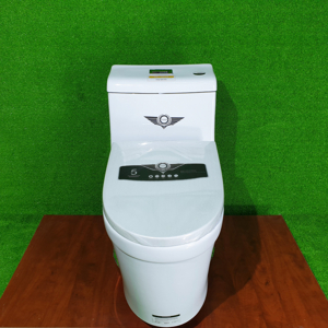 Bồn cầu 1 khối Veurro VC2225