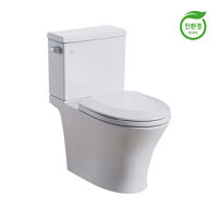 Bồn cầu 2 khối Royal RWC606