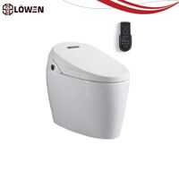 Bồn cầu điện tử Lowen LW-DT 003