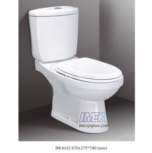 Bồn cầu Imex IM 6195 - 1 khối