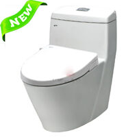 Bồn cầu Inax AC-909R+CW-S15VN (Nắp shower toilet)