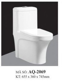 Bồn cầu liền khối Aqua AQ-2069