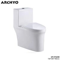 Bồn cầu liền khối ARCHYO 1638