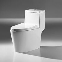 Bồn cầu Moonoah MN-1203