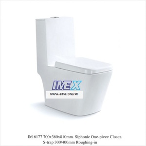 Bồn cầu một khối Imex IM6177 (IM 6177)