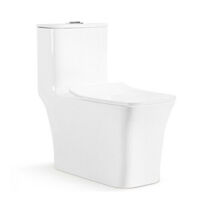 Bồn cầu toilet Bancoot liền khối vuông TS93