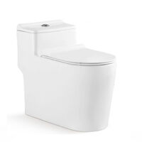 Bồn cầu toilet Bancoot liền khối TS73