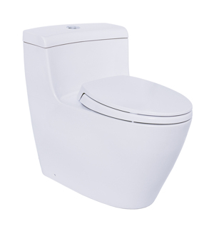 Bồn cầu TOTO một khối MS636DT2