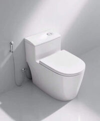 Bồn cầu Veurro VR1001